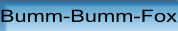 Bumm-Bumm-Fox